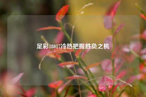 足彩18017冷热把握胜负之机