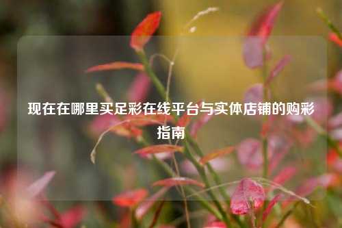 现在在哪里买足彩在线平台与实体店铺的购彩指南