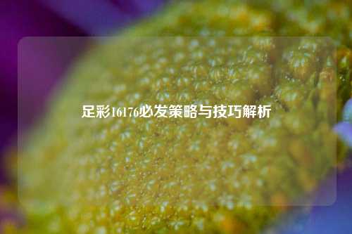 足彩16176必发策略与技巧解析