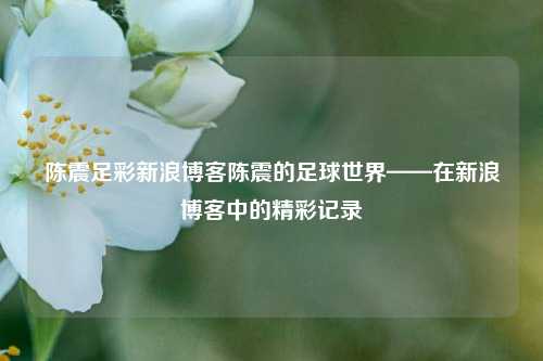 陈震足彩新浪博客陈震的足球世界——在新浪博客中的精彩记录