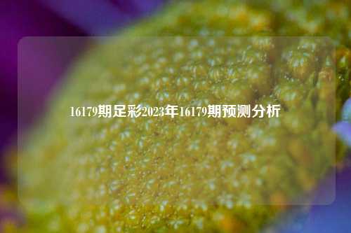 16179期足彩2023年16179期预测分析