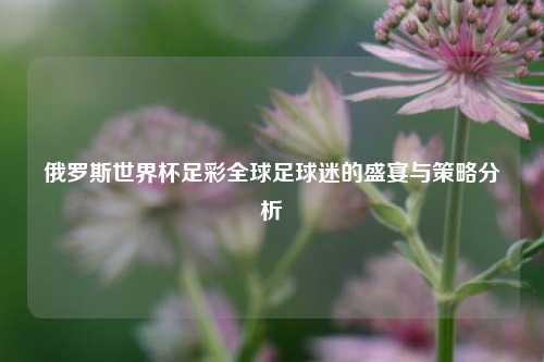 俄罗斯世界杯足彩全球足球迷的盛宴与策略分析