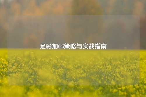 足彩加0.5策略与实战指南