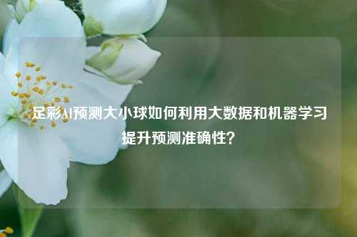 足彩AI预测大小球如何利用大数据和机器学习提升预测准确性？