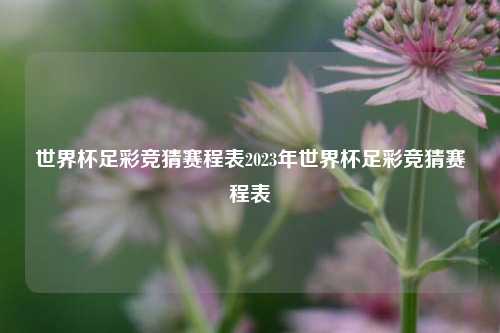 世界杯足彩竞猜赛程表2023年世界杯足彩竞猜赛程表