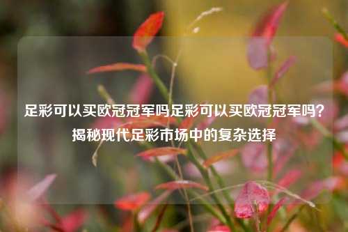 足彩可以买欧冠冠军吗足彩可以买欧冠冠军吗？揭秘现代足彩市场中的复杂选择