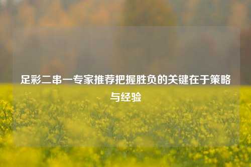 足彩二串一专家推荐把握胜负的关键在于策略与经验