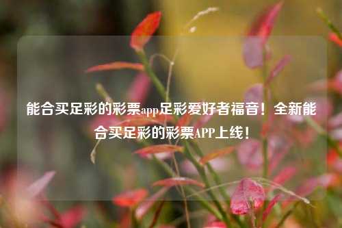 能合买足彩的彩票app足彩爱好者福音！全新能合买足彩的彩票APP上线！